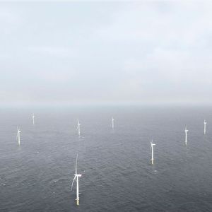 Der Windpark Amrumbank West liegt 40 km vor Helogland und produziert mit 80 Turbinen jährlich genug Strom, um 300.000 Haushalte zu versorgen. In Zukunft sollen viele weitere solcher Windparks entstehen.