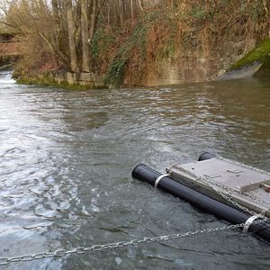 The researchers kept rainbow trout in a special cage in the waters they were analyzing.