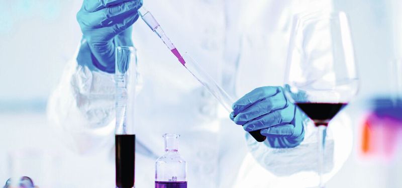 Bei den Lebensmittelchemietagen an der TU München geht es um Lebensmittelqualität und Verbraucherschutz, etwa um die deklarierungspflichtigen Inhaltsstoffe in Wein.(Bild:  Microgen - stock.adobe.com)