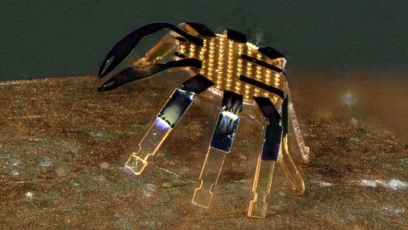 Sieht zwar aus wie eine verbogene Platine, hat auch viel mit Elektronik zu tun, doch es handelt sich um einen ferngesteuerten Mikroroboter in Krabbengestalt. US-Wissenschaftler haben ihn ausgetüftelt. Sie sagen, es ist der kleinste Roboter der Welt. Hier mehr dazu...
