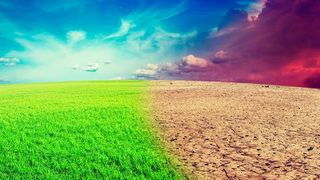 Viele Experten machen die Klimaerwärmung für die derzeitigen, drastischen Wetterereignisse wie Dürren verantwortlich. (© f9photos - Fotolia)