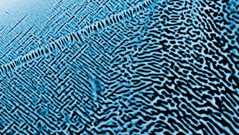 Scanning electron microscope image of the nanostructure of an alloy composed of aluminum, molybdenum, niobium, tantalum, titanium, and zirconium. The material is particularly well-suited for catalytic processes.(Image: BAM)