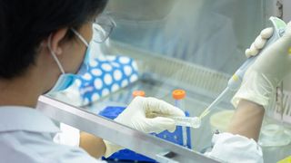 Labordienstleister können Medtech-Hersteller bei der Einhaltung der MDR-Anforderungen in Bezug auf E&L-Teststrategien unterstützen und bei der Auswahl geeigneter Testbedingungen und analytischer Methoden helfen. (Bild: bung - stock.adobe.com)