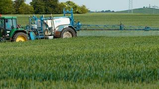 UFZ-Forscher entwickeln ein Modell zur Abschätzung toxischer Pestizidrückstände im Boden. (UFZ / André Künzelmann )