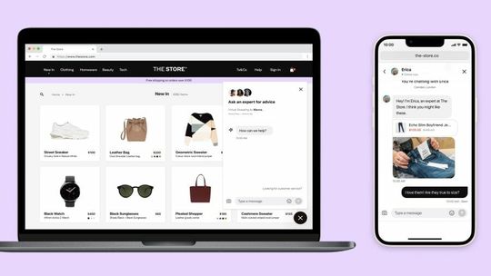 (Virtual Shopping von Klarna überträgt die Vorteile des stationären Handels auf das Online-Erlebnis. (Bild: Klarna))