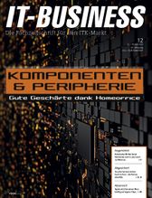 IT-BUSINESS 12/2020 (IT-BUSINESS)