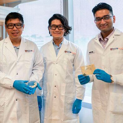 (From left) Associate Professor Jonathan Lee, Professor Matthew Chang, and Dr Nikhil Aggarwal from NUS Syncti have successfully engineered a naturally occurring beneficial gut bacterium into a programmable “living medicine” to treat hepatic encephalopathy, a severe brain dysfunction linked to liver failure. (Source: NUS)