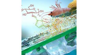 A team of Kaust chemical engineers has designed a sustainable thin-film composite membrane made from a natural nontoxic polymer derived from shrimp shell waste. (Kaust )