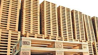 Palettenkosten senken durch Weiterverkauf statt Tausch, ist die Devise von Falkenhahn. Damit will man die Hauptkostentreiber des bisher praktizierten Palettentauschs in den Griff bekommen. Bild: Falkenhahn (Archiv: Vogel Business Media)