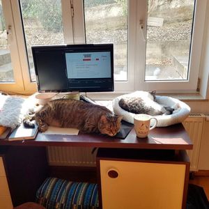 (K.Juschkat/konstruktionspraxis)