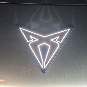 2. Die Marke: Das Cupra-Logo findet sich an etlichen Stellen wieder, unter anderem auf der Motorhaube. Am besten kommt es dort nachts zur Geltung.(Bild:  Mauritz – VCG)