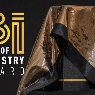 Die Finalisten für den Best of Industry Award 2025 stehen fest! (Bild: VCG)