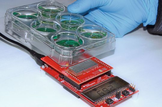 Mit der richtigen Beschichtung soll die Lebensdauer des elektronischen Implantats zehn Jahre betragen. Mit der richtigen Beschichtung soll die Lebensdauer des elektronischen Implantats zehn Jahre betragen.