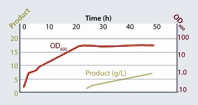 Graph showing production data for a therapeutic protein (hirudin). High secretion efficiency results in a product titer of 7 g/L in the fermentation medium. Pictures: Wacker (Archiv: Vogel Business Media)