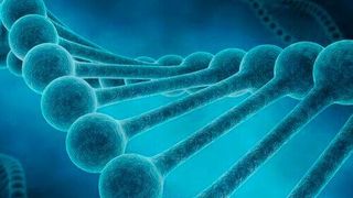 Sumitomo Chemical and Conagen will jointly explore research projects, strengthen their technological base by mutually dispatching researchers, and develop innovative technologies and processes. (Deposit Photos )