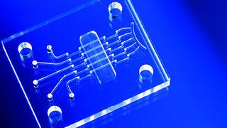 Bild 1: Mikro-Spritzgussteile mit kleinsten Löchern, Gittern und Mikro-/Nanofunktionsstrukturen für medizintechnische Produkte. Bild: Micro Systems (Archiv: Vogel Business Media)