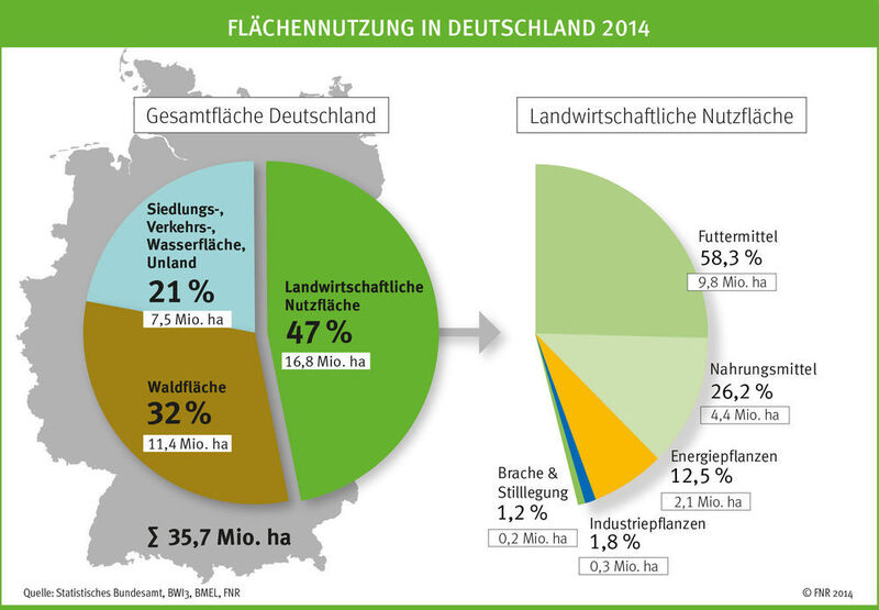 Anteil der Energiepflanzen sowohl an der landwirtschaftlichen Nutzfläche als auch an der Gesamtfläche Deutschlands insgesamt.  (Fachagentur Nachwachsende Rohstoffe)
