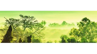  (© Galyna Andrushko / Fotolia.com)