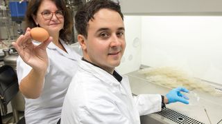 Gabriele Berg und Tomislav Cernava vom Institut für Umweltbiotechnologie der TU Graz nützen Mikroorganismen zur natürlichen Entkeimung von Bruteiern. (Lunghammer - TU Graz)