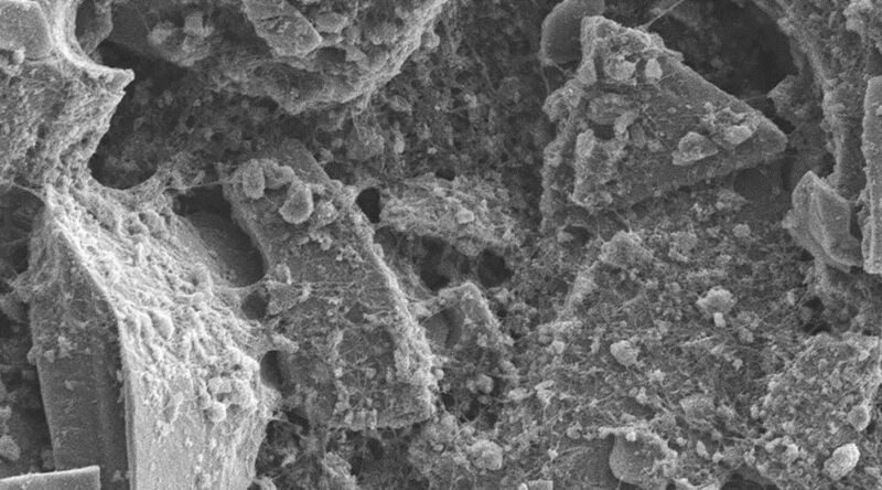 An image of the hybrid anode material taken by a scanning electron microscope. (University of Eastern Finland)