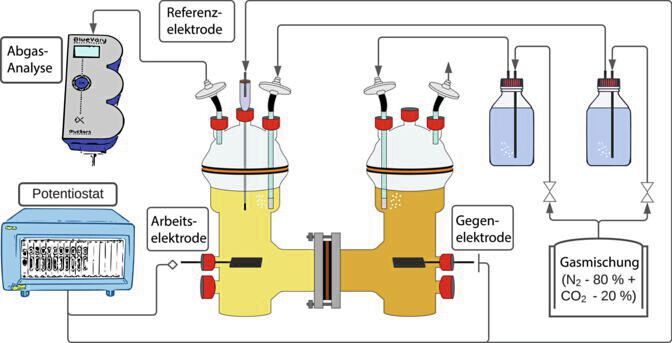 Schematische Darstellung des Versuchsaufbaus: In einem der Behälter wächst die Bakterienkultur, Elektrizität und CO2 werden zugeführt. Ein zweiter Behälter dient der elektrochemischen Gegenreaktion; hier entsteht Sauerstoff. (Bild: Santiago Boto/Leibniz-HKI)