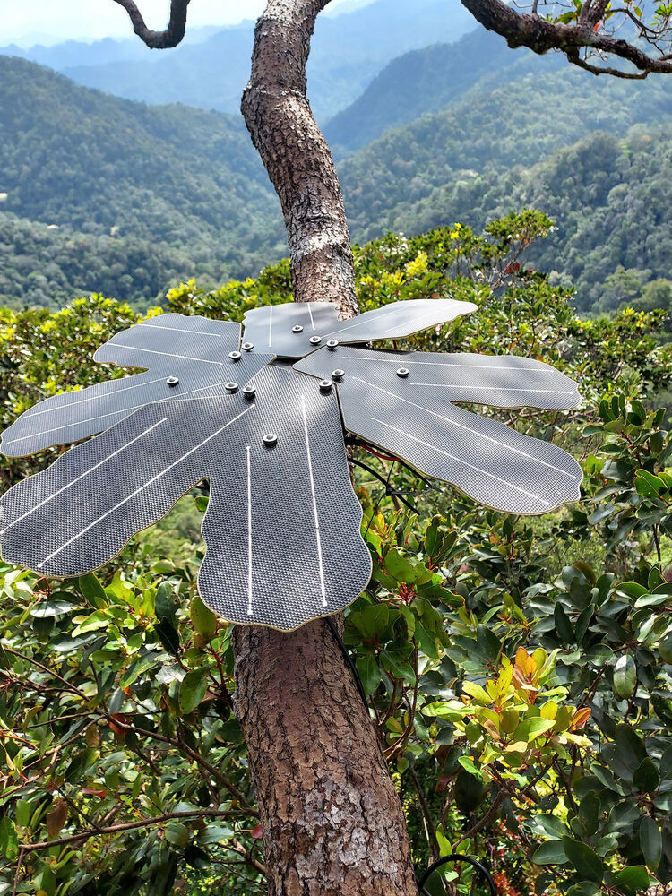 Das „Guardian“-System von Rainforest Connection (RFCx) ist in der Lage, Bedrohungen durch illegalen Holzeinschlag aufzuspüren, Partner vor Ort zu alarmieren und letztlich Wälder vor ihrer Zerstörung zu bewahren. 