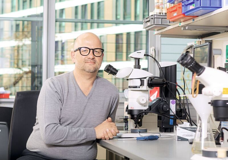 Prof. Tobias Langenhan in seinem Labor am Rudolf-Schönheimer-Institut für Biochemie.  Foto: x