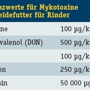 Tabelle 1: Grenzwerte für Mykotoxine