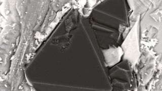 Unter Hochdruck und mit kleiner elektrischer Spannung hergestellter Diamant. (Yuliya Bataleva, SB Russ. Akad. d. Wissenschaften)