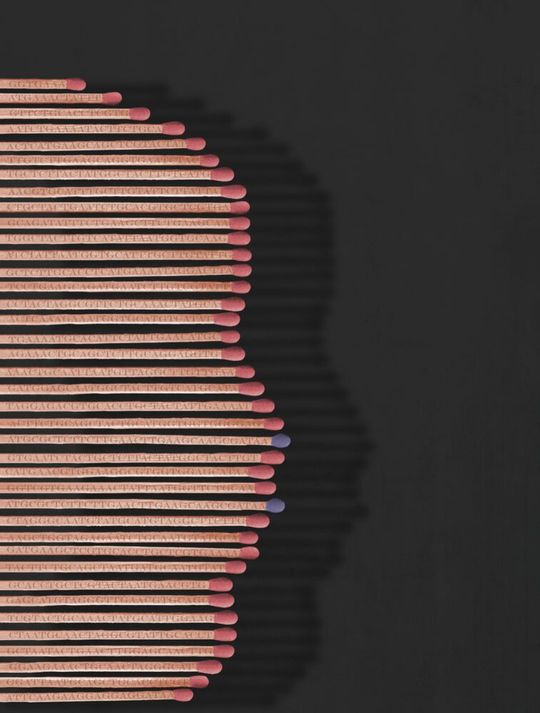 Das Bild zeigt Streichhölzer, - die auf Englisch „Match“ heißen – eine Anspielung auf „Match“ (Übereinstimmung) beim Abgleich von Gesichtszügen und Erkrankungen. Auf den Streichhölzern ist außerdem eine Gensequenz eingebrannt. Hinter dieser Verschlüsselung verbergen sich der Titel und die Autoren der Studie. Die blauen Streichholzköpfe symbolisieren seltene Erkrankungen.(Bild:  © Jean Tori Pantel)