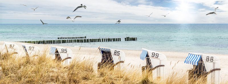 Urlaubsparadies unter Druck: Dass die Ostsee unter Überdüngung leidet, ist seit mehr als einem halben Jahrhundert bekannt. (Symbolbild)(Bild: ©  Stephanie Eichler - stock.adobe.com)