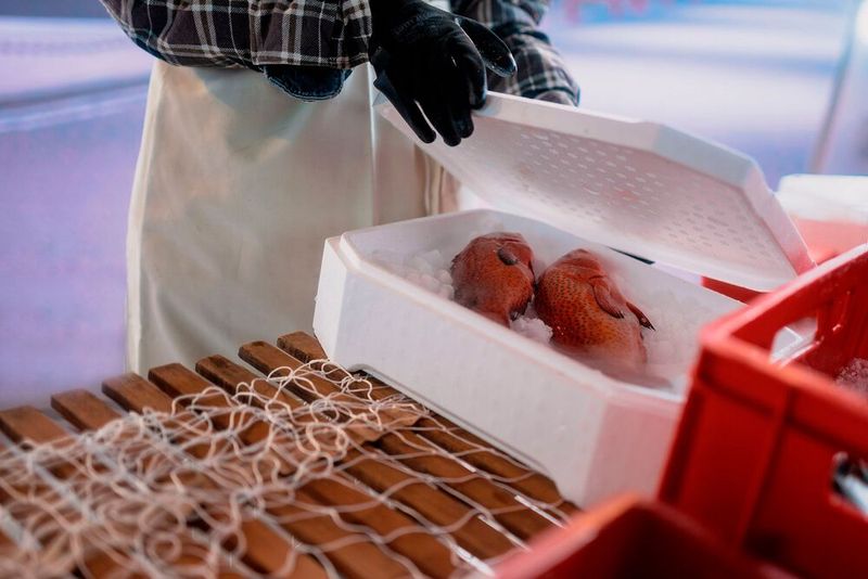 Hier blickt man auf eine Lebensmittelverpackung aus Styropor-Ccycled von der BASF. Dieses geschäumte Polystyrol (PS) besteht aus Rohstoffen, die aus dem Recycling stammen, was fossile Ressourcen spart. Die Eigenschaften stünden dem üblichen EPS in nichts nach. (Bild: L. Trampe / BASF)
