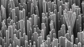 Mittels NanoWiring hergestellter Aluminum-Rasen auf einer Leiterplatte. (NanoWired)