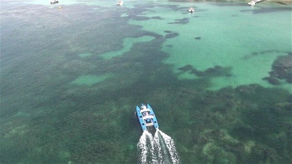 Das elektrisch betriebene Freizeit-Boot Platypus: Es verbindet die zwei Wassersportarten Bootfahren und Tauchen. (Platypus)