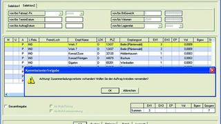 Das Warehouse-Management-System-Modul prüft nicht nur die generellen Möglichkeiten zur Zusammenladung von Gefahrgut nach ADR-Vorschriften, sondern auch die so genannten bedingten Zusammenladeverbote. Bild: Gigaton (Archiv: Vogel Business Media)
