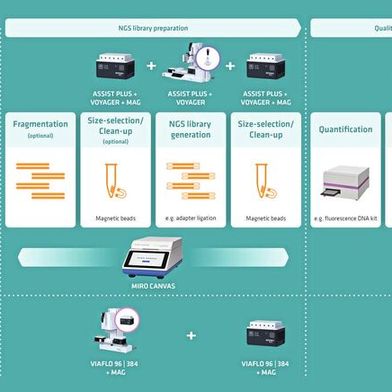 Das Workflow-Diagramm zeigt, wie die Liquid-Handling-Lösungen von Integra jeden Schritt der NGS-Vorbereitung rationalisieren und die Effizienz der NGS-Bibliotheksvorbereitung optimieren können. (Bild: Integra Biosciences)