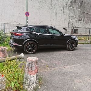 ... je nach Lichteinfall geben die hinteren Kotflügel dem Formentor einen Muscle Car-Look.(Bild:  Sven Prawitz)