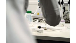 Pipettieren will gelernt sein – selbst erfahrene Laboranten machen hier manchmal Fehler (Symbolbild). (Integra Biosciences)