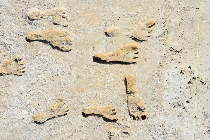 Fossilized footprints in White Sands National Park. (Source: USGS, NPS, Bournemouth University)