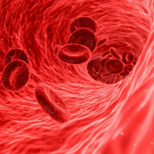 Oncogenes play a crucial role in cancer development by directing the production of “bad” oncoproteins that promote the growth and survival of cancer. Oncogenes play a crucial role in cancer development by directing the production of “bad” oncoproteins that promote the growth and survival of cancer.
