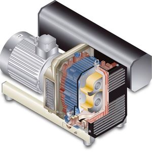 3D-Darstellung einer Elmo Rietschle Klauen-Vakuumpumpe