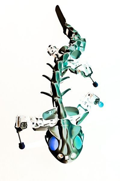 Bionischer Echsen-Roboters Pleurobot: Die interdisziplinäre Zusammenarbeit zwischen den Wissenschaftlern der Universität Jena und Dr. Kontantinos Karakasiliotis von der École Polytechnique Fédéral Lausanne ermöglicht neue Erkenntnisse über die Entwicklung des Bewegungsapparates bei Landwirbeltieren. (Daimler und Benz Stiftung/Oestergaard)