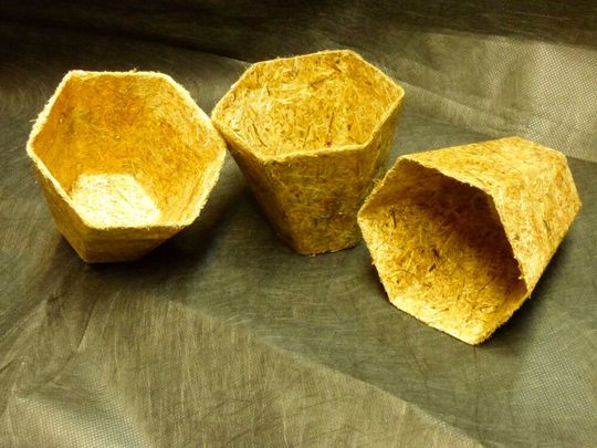 Pflanztöpfe aus Wasserhyazinthen. (Bild:  Fiber Engineering GmbH)