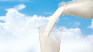 In Röhmilch von öklogische betriebenen Höfen fanden die Kontrolleure deutlich weniger mit MRSA-Bakterien belastete Proben.  (© BillionPhotos.com - Fotolia.com)