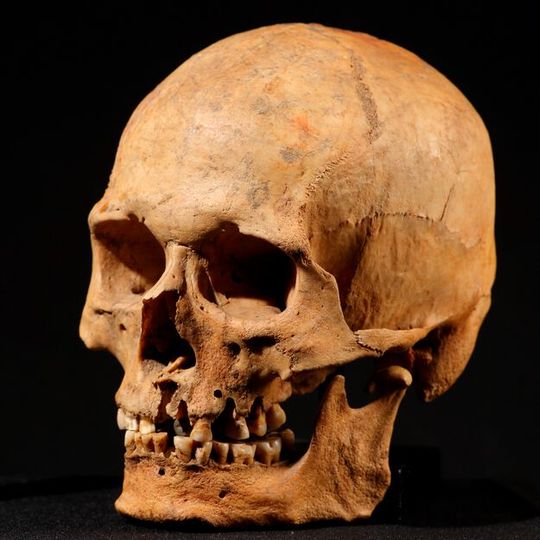 A new finding implies that individuals with very different profiles and backgrounds were living in the same region of Siberia around the same time. A new finding implies that individuals with very different profiles and backgrounds were living in the same region of Siberia around the same time.