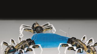 MID-Innovationspreis 2015: Prämiert wurden als beste Innovation die BionicANTs der Festo AG (Bild: Festo)