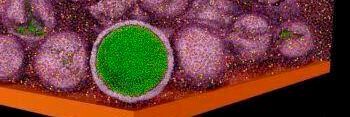 This is the latest in a series of research efforts focused on finding a remedy for this problem. Last month, researchers in the U.S. reported works that could lead to the development of protective solid-electrolyte-interphase layers for safer, long-life lithium batteries. Pictured is a SEI layer surrounding battery anode nanoparticles. This is the latest in a series of research efforts focused on finding a remedy for this problem. Last month, researchers in the U.S. reported works that could lead to the development of protective solid-electrolyte-interphase layers for safer, long-life lithium batteries. Pictured is a SEI layer surrounding battery anode nanoparticles.