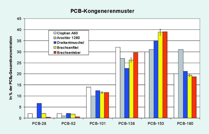 Abb. 3: PCB-Kongenerenmuster. Dargestellt ist jeweils der Prozentanteil des jeweiligen Kongeners in der entsprechenden Matrix, bezogen auf die PCB6-Summe (Präzisionsparameter s. Brachsenfilet-Probe). (Archiv: Vogel Business Media)