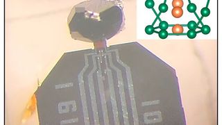 A small crystal of the new material, a synthesis of Niobium and Germanium (NbGe2), is mounted on a device to examine the behavior of the new electron-phonon liquid. The inset shows the atomic arrangement in the material. (Fazel Tafti, Boston College)