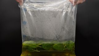 Seward’s new autoclavable Stomacher bag can reduce plastic waste in food microbiology testing processes by up to 50 percent. (Seward)